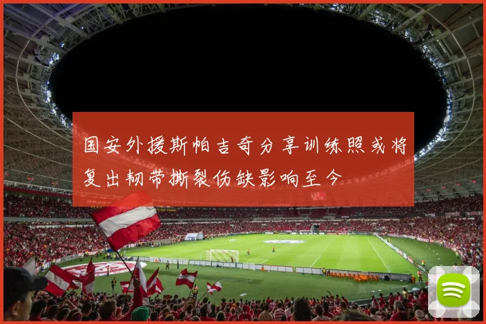 国安外援斯帕吉奇分享训练照或将复出韧带撕裂伤缺影响至今