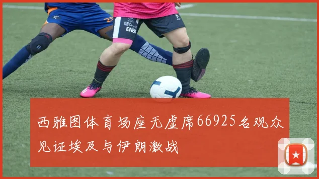 西雅图体育场座无虚席66925名观众见证埃及与伊朗激战