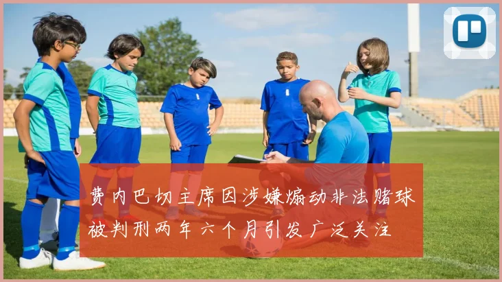 费内巴切主席因涉嫌煽动非法赌球被判刑两年六个月引发广泛关注